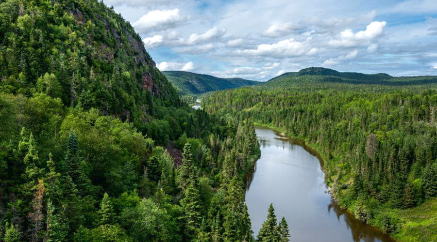 Quais são as escolhas de veículos mais populares em Thunder Bay?